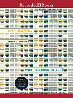 cover image of What Belongs to You
